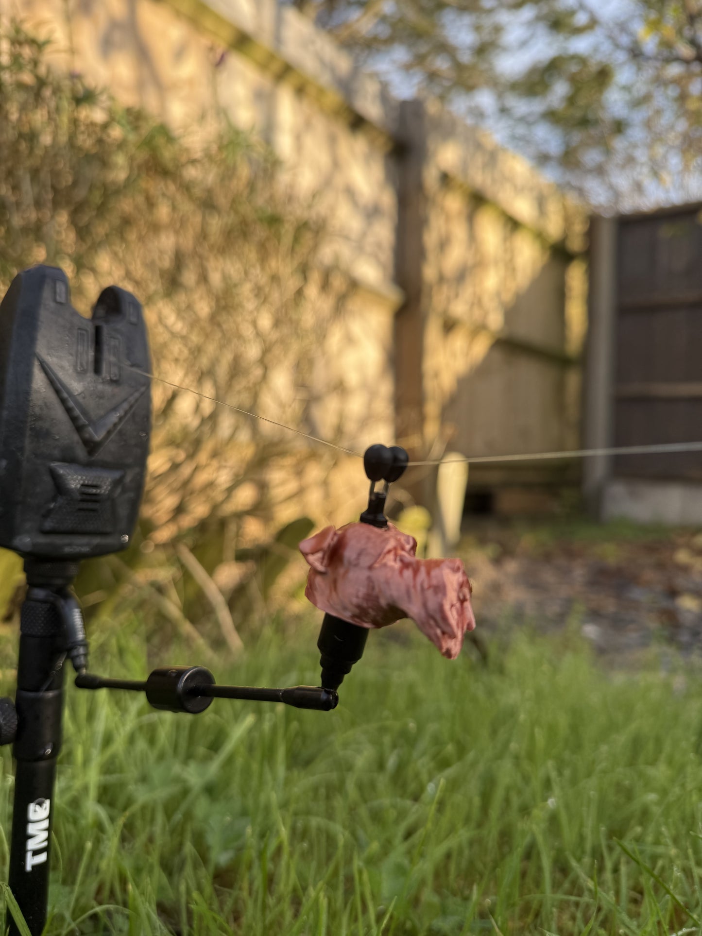 Custom Schnauzer Swinger Bite Indicator