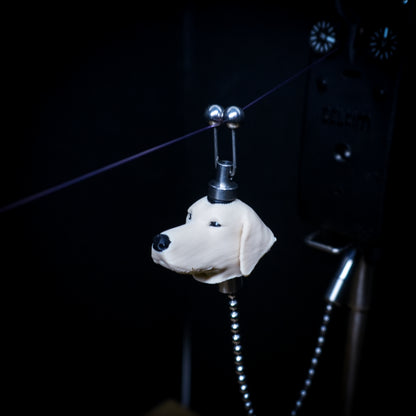 Labrador Blonde Carp Fishing Bobbin
