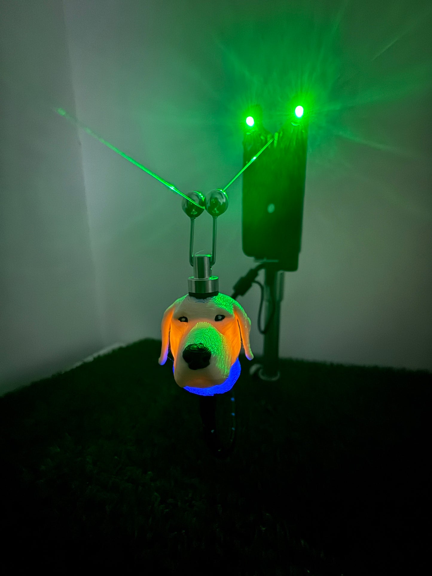 LED Powered Blonde Labrador Custom Carp Fishing Bobbins