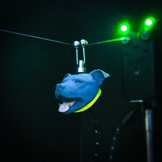 LED Powered Blue Staffy Custom Carp Fishing Bobbin