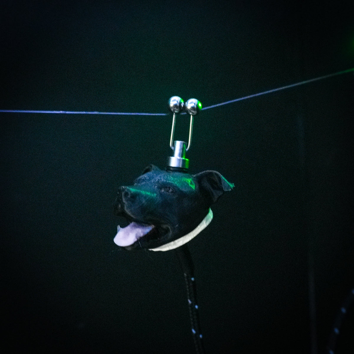 LED Powered Black Staffy Custom Carp Fishing Bobbin