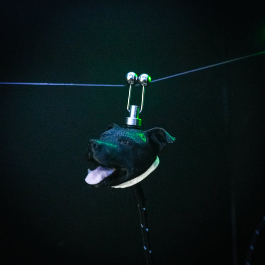 LED Powered Black Staffy Custom Carp Fishing Bobbin